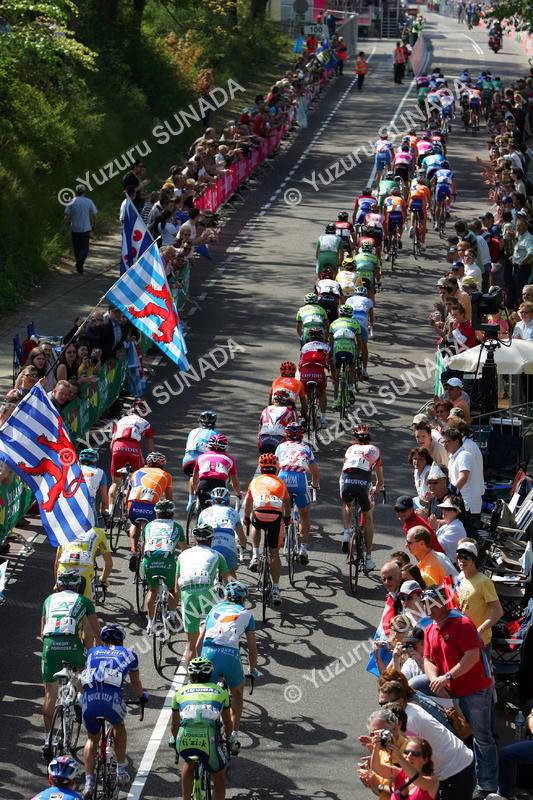 Peloton on Cauberg008p.jpg